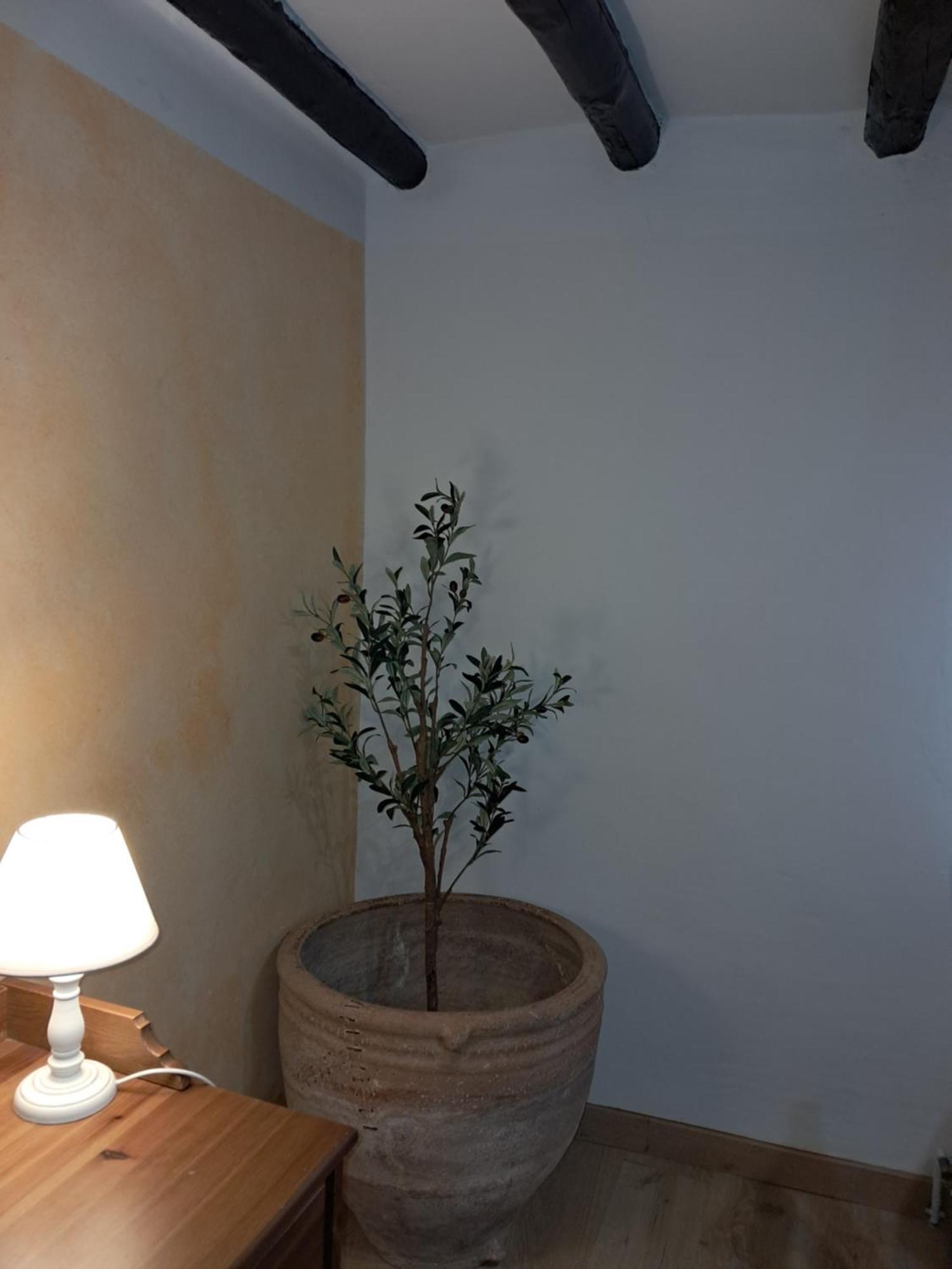 Casa Rural Ruta Del Agua 4 Hab Al Lado Monasterio De Piedra Munébrega エクステリア 写真